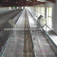 Poultry Control Shed Equipment for Breeder (sh-033)